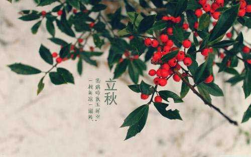 國(guó)中消泡劑研究所提醒你：一年過(guò)半又立秋