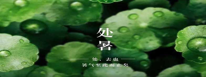 天上雙星合，人間處暑秋
