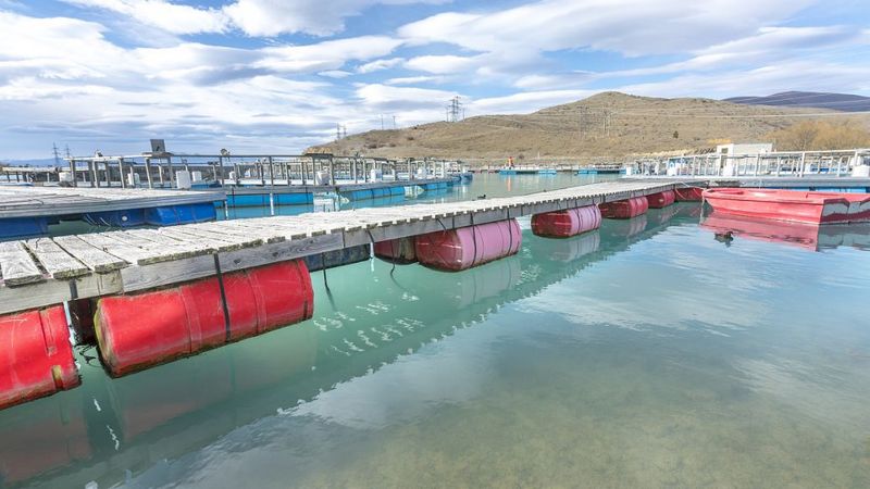 污水起泡沫，用什么方法去除泡沫？