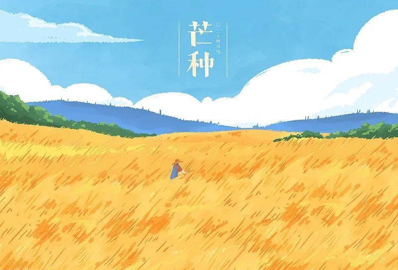 芒種看今日，蟬鳴夏始忙