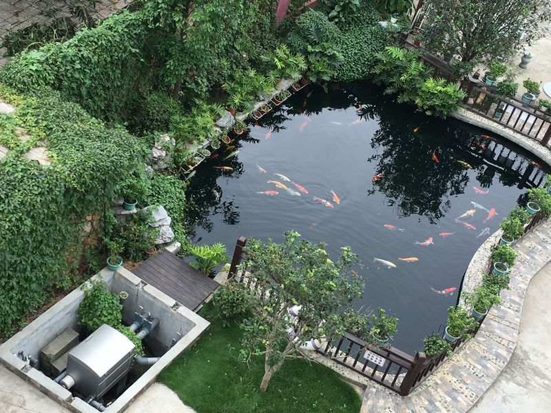 景觀池泡沫什么情況，怎么處理景觀池泡沫？
