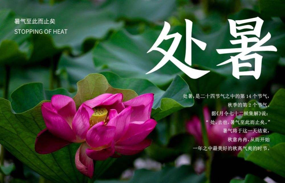 處暑至，新秋時(shí)