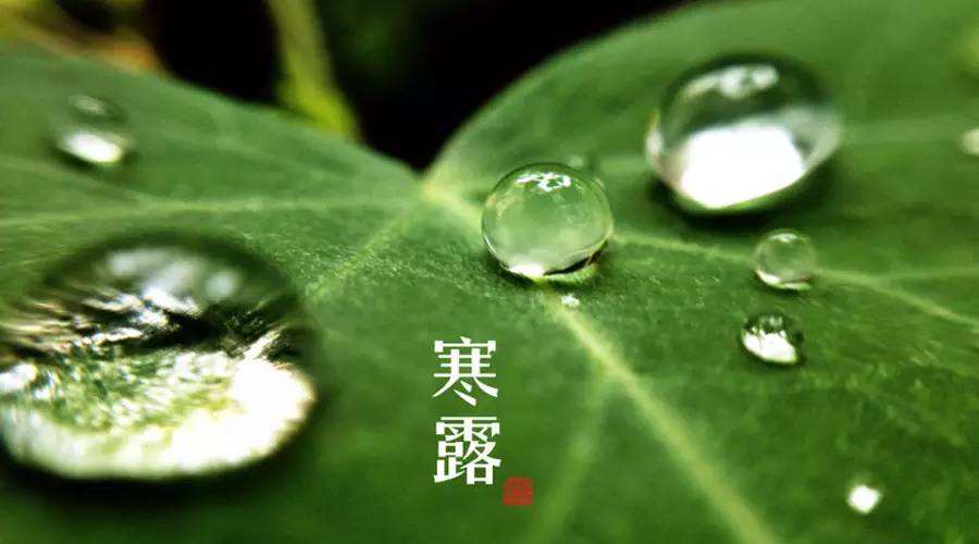 凝露成霜，寒意愈盛