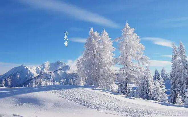 晨起開門雪滿山，雪晴云淡日光寒