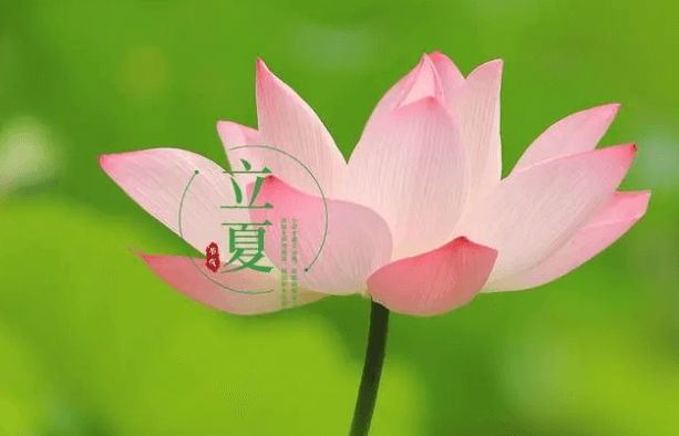 日斜湯沐罷，熟練試單衣